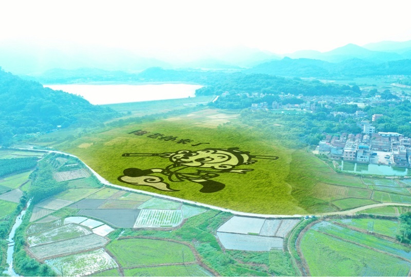 1628650827921740.jpg Õ¼µØ60͵ġ°ËïÎò¿Õ¡±²Ê»æµ¾Ìï.jpg